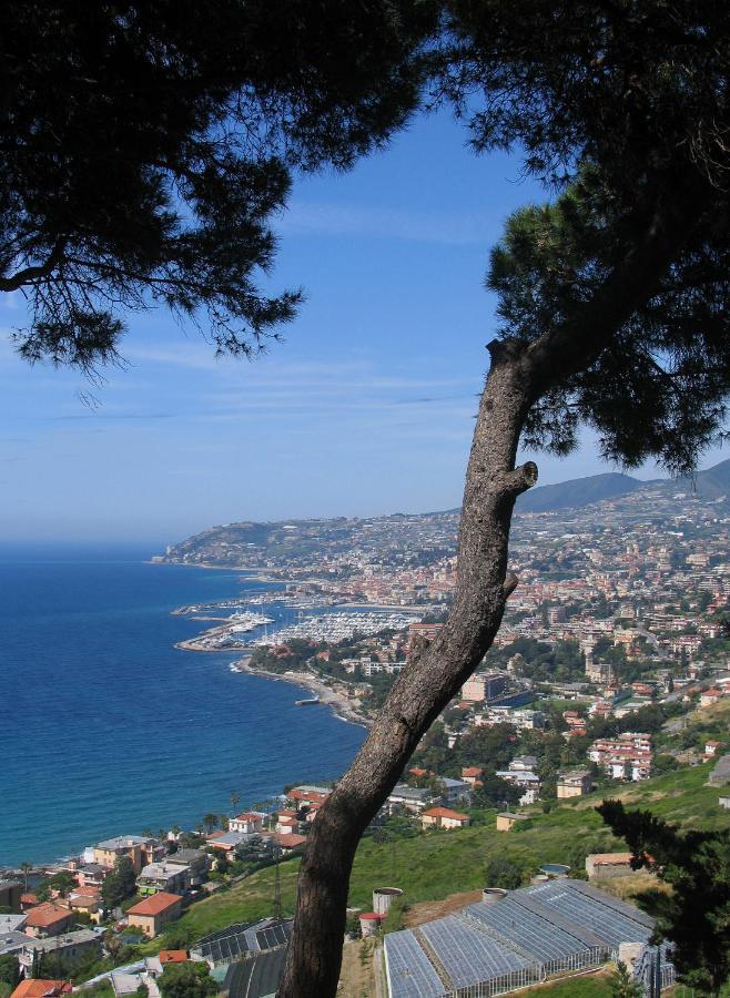 Maison Du Port Vieux Daire Sanremo Dış mekan fotoğraf